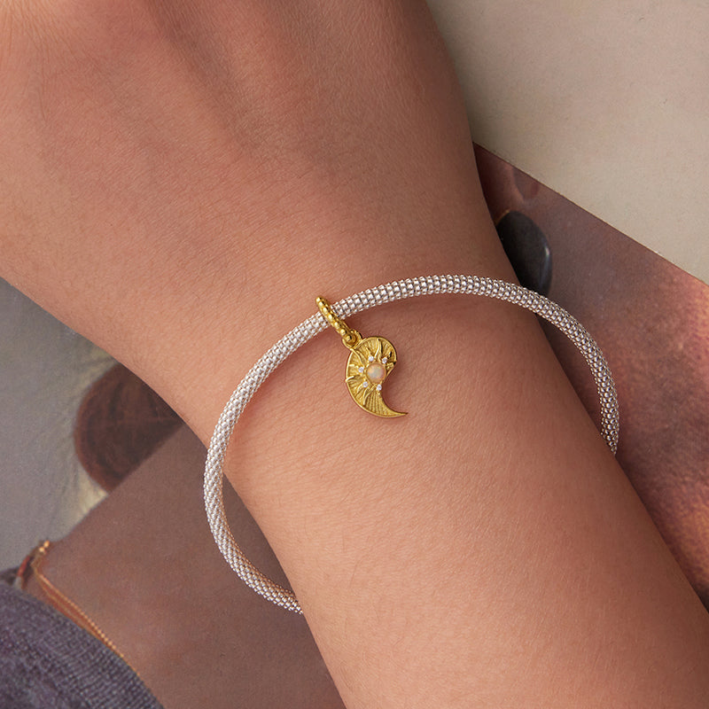 Tai Chi Sun Charm