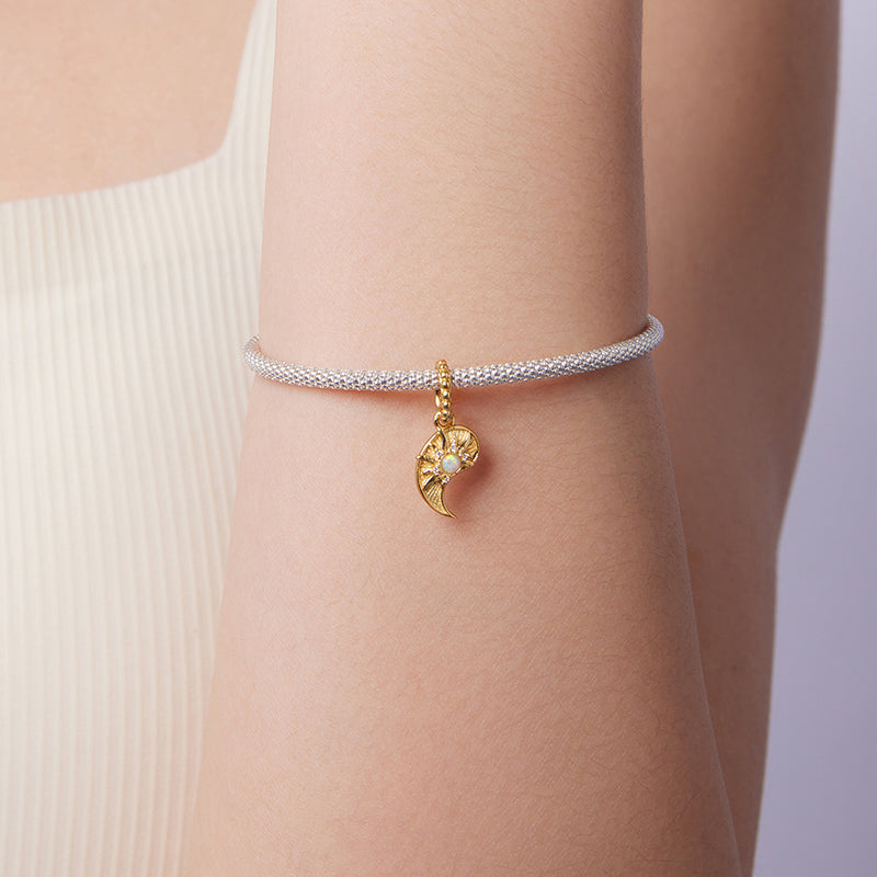 Tai Chi Sun Charm