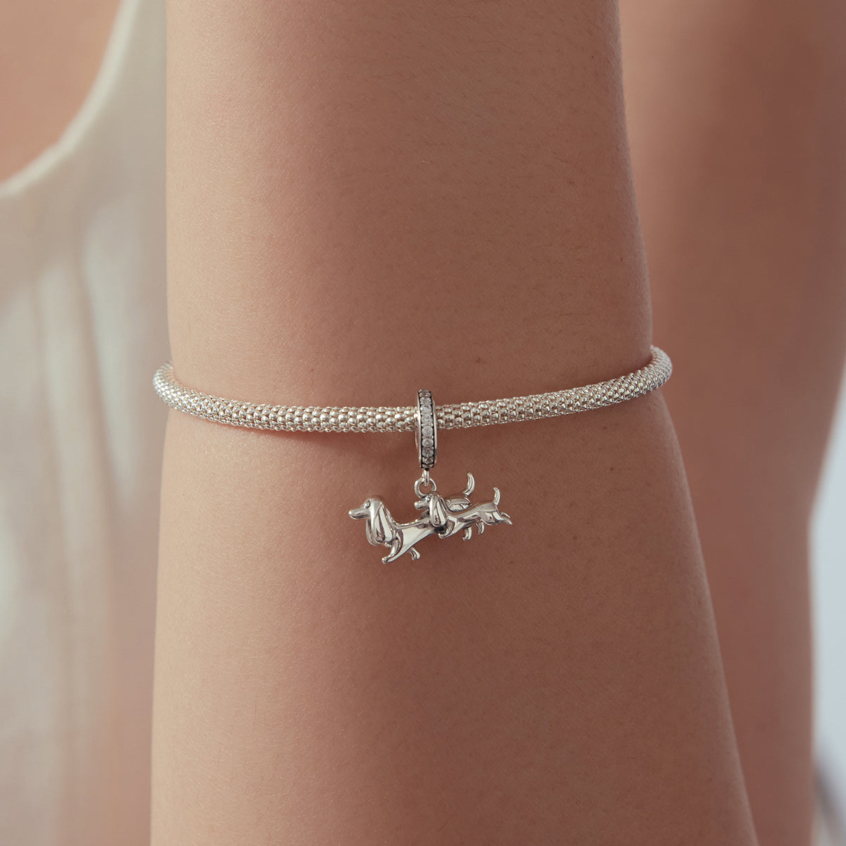 Dachshund Mother & Puppy Charm