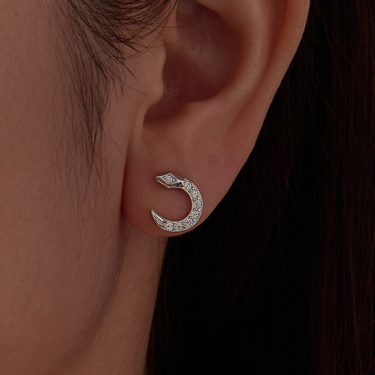 Coiled Snake Studs