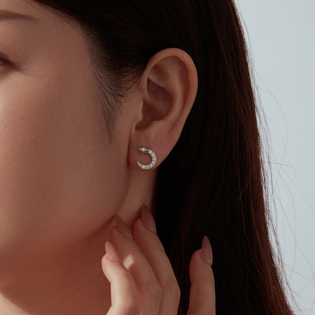 Coiled Snake Studs