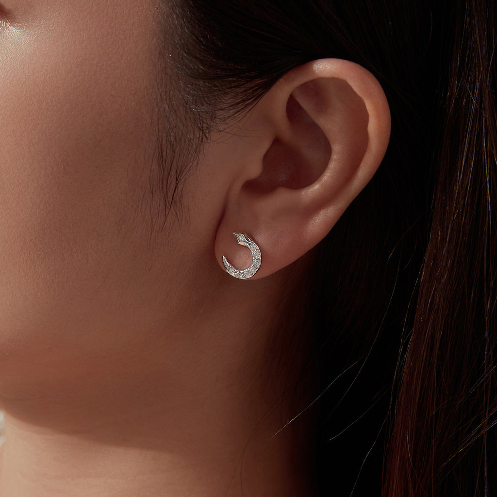 Coiled Snake Studs