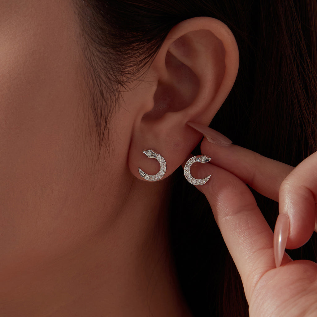 Coiled Snake Studs