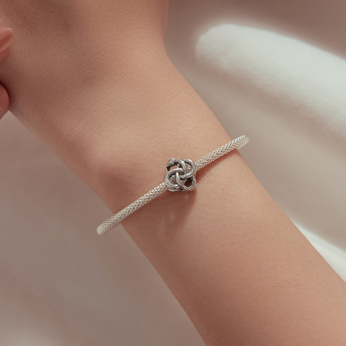 Ouroboros Snake Charm